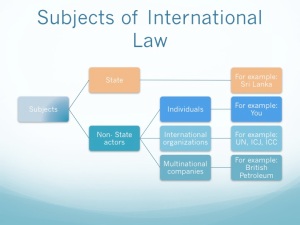 international law paper topics